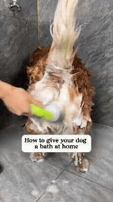 Pet Bath Brush for Dogs & Cats