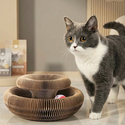 Magic Organ Cat Toy round Corrugated Scratching Post Board for Cats Grinding Claw Toys